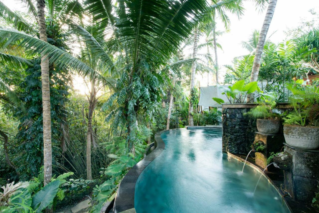 Tropical * Ubud (Bali)
