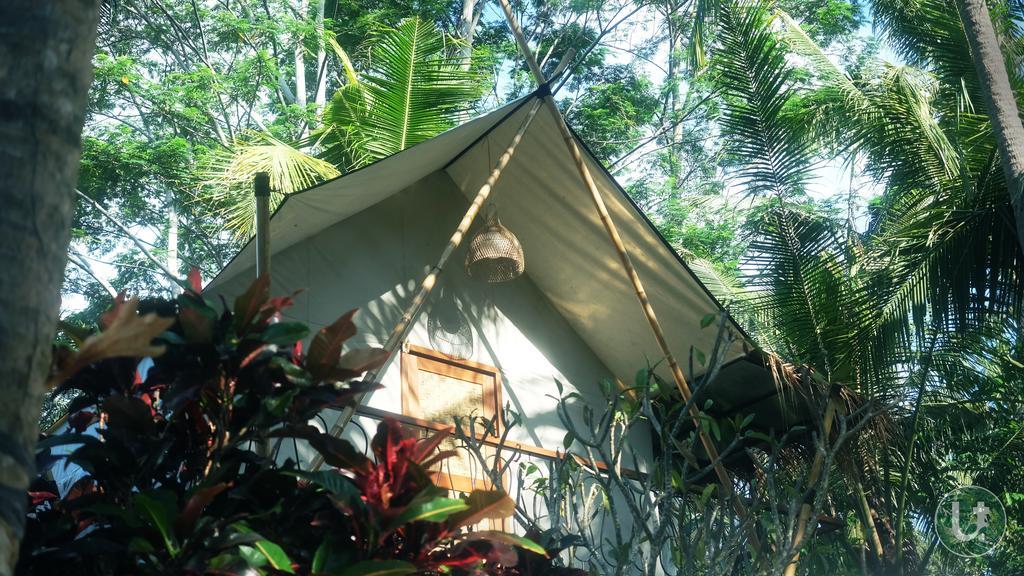 Auberge de jeunesse Tropical Ubud
