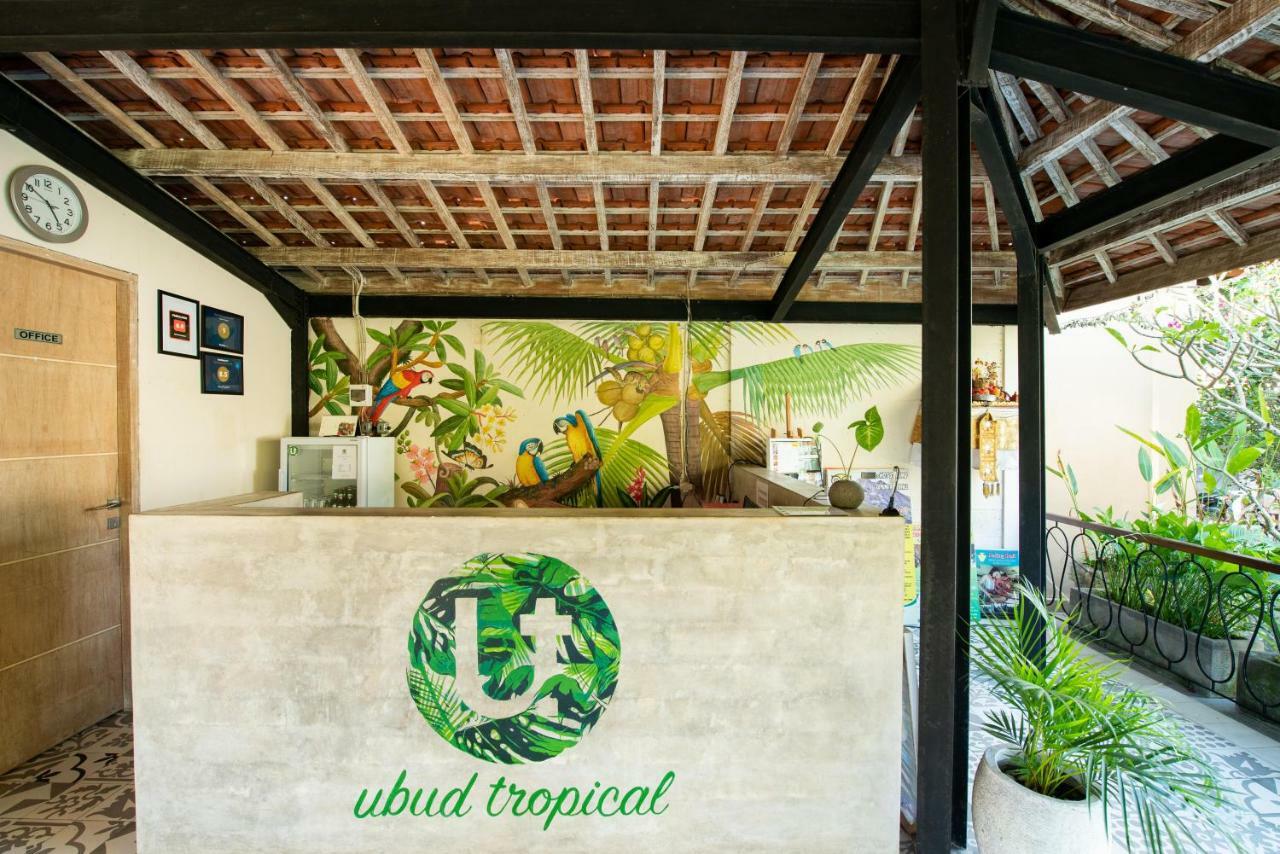 Auberge de jeunesse Tropical